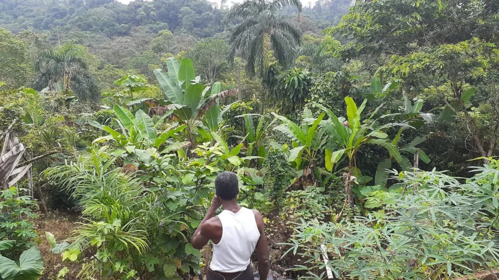 AGRO E, esperanza para el Chocó