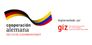 GIZ