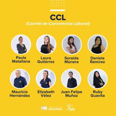 Comite de convivencia laboral