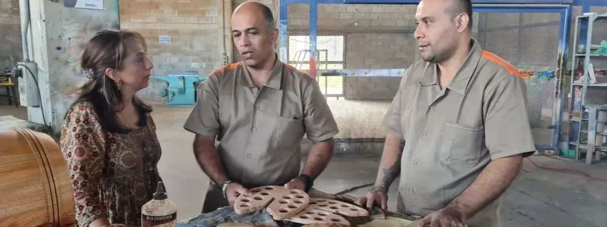 Desarrollo de la industria por PPL