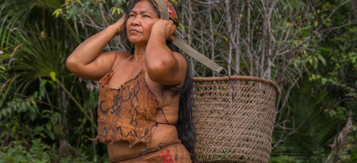 Imagen Amazonía