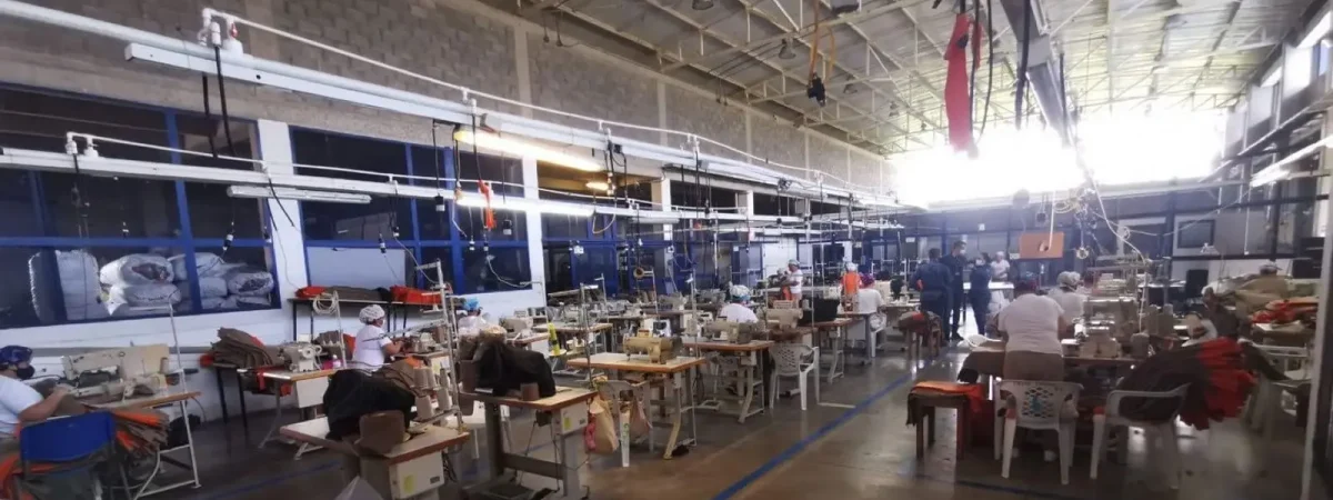 Oportunidades de desarrollo PPL