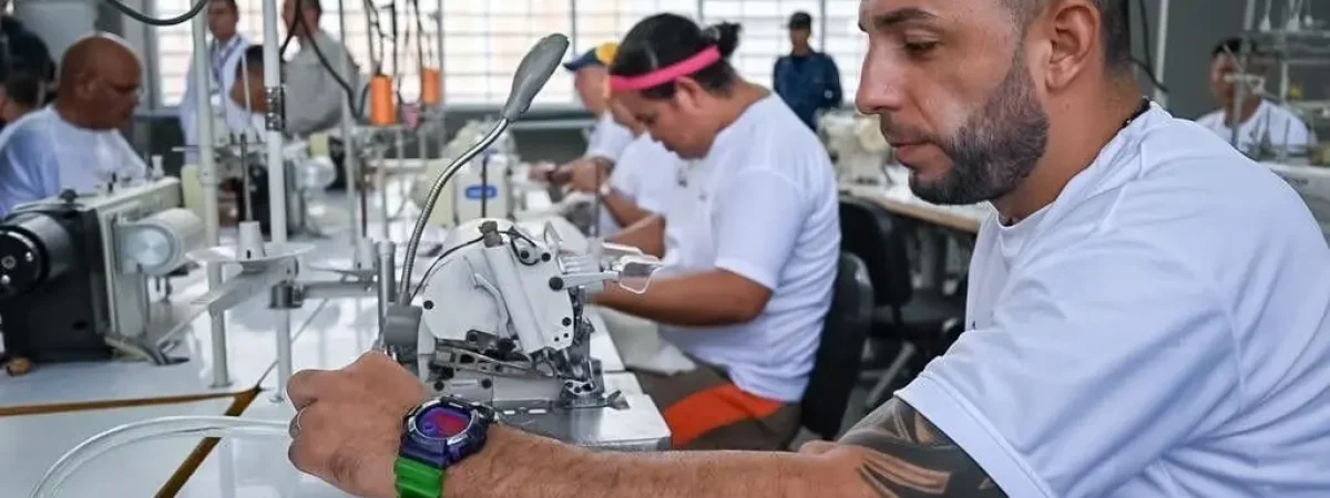 Sectores industriales PPL